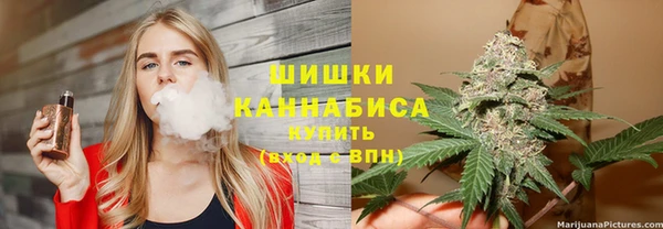 прущие грибы Абинск