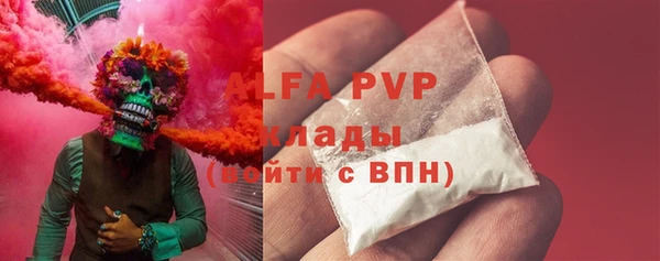 прущие грибы Абинск