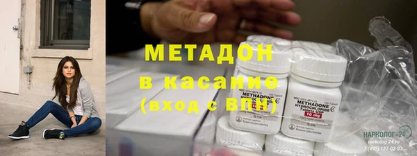 прущие грибы Абинск