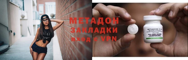 прущие грибы Абинск