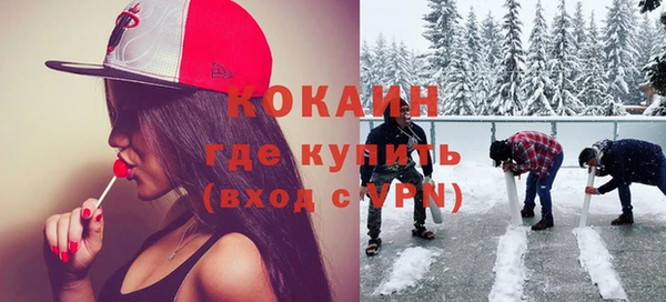 прущие грибы Абинск