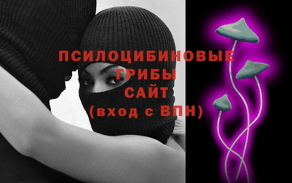прущие грибы Абинск