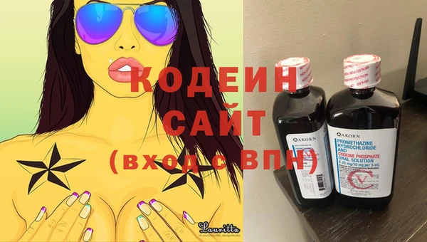прущие грибы Абинск