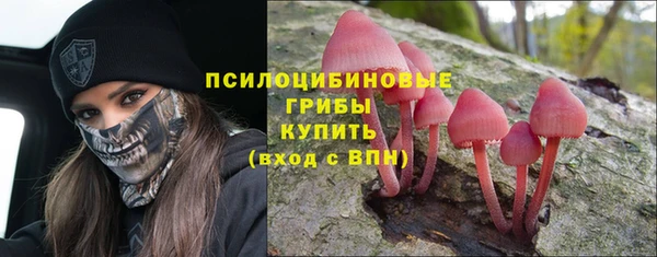 прущие грибы Абинск